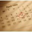 teaching-dates-this-term-summer-2009